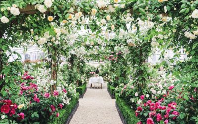 The RHS Chelsea Flower Show 2020