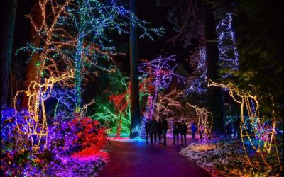 CHRISTMAS AT KENWOOD, UNTIL JANUARY 1ST (LONDON)