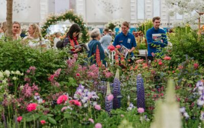 RHS CHELSEA FLOWER SHOW, 23-27 MAY 2023 (LONDON)