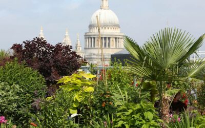 LONDON OPEN GARDENS, JUNE 10TH & 11TH (LONDON)