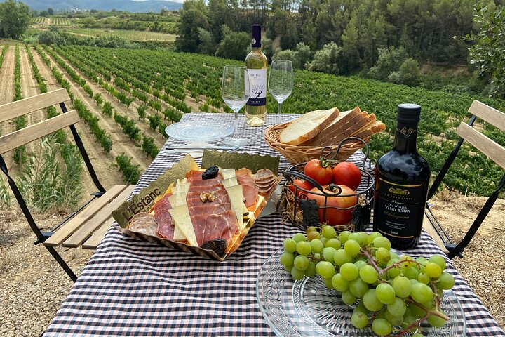 ALL DAY THREE WINERY PRIVATE TOUR (BARCELONA)