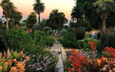TWILIGHT GARDEN STROLLS AT THE HUNTINGTON BOTANICAL GARDEN, JUNE 30 ONWARDS (LOS ANGELES)