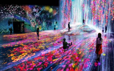 TEAMLAB: BORDERLESS, IMMERSVE EXHIBITION (TOKYO)