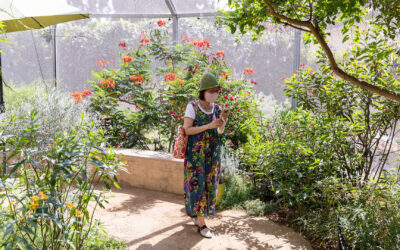 NATURAL HISTORY MUSEUM PRESENTS: THE BUTTERFLY PAVILLION EXHIBITION, UNTIL AUGUST 25 (LOS ANGELES)