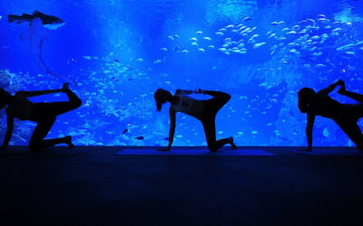 UNDERWATER WELLNESS AT THE DUBAI ATLANTIS (DUBAI)